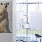 Стоматология Белый медведь Фотография 10