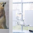Стоматология Белый медведь Фотография 7