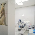 Стоматология Белый медведь Фотография 1