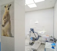 Стоматология Белый медведь Фотография 1