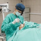 Клиника Клиника уха, горла и носа на Большой Черкизовской улице Фотография 1
